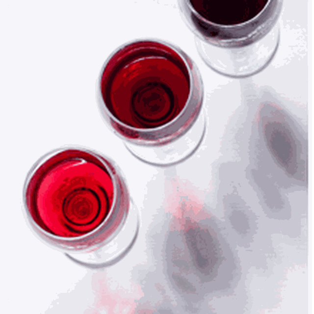 Genieße den besten Mövenpick Wein!